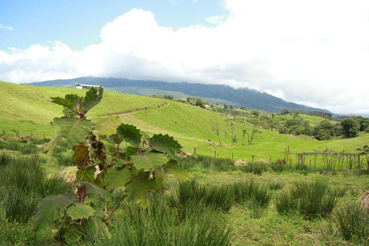 Casa Volcano Panoramic View Vara Blanca  Buitenkant foto